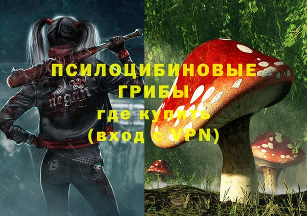 ПСИЛОЦИБИНОВЫЕ ГРИБЫ Алексин