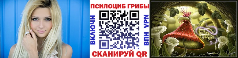 Псилоцибиновые грибы GOLDEN TEACHER  наркотики  Павловский Посад 